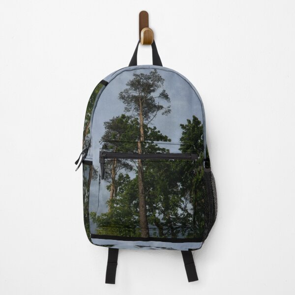 Item preview, looking up at trees and a grey sky (edinburgh, scotland) (may 2026) designed and sold by photosbykel.