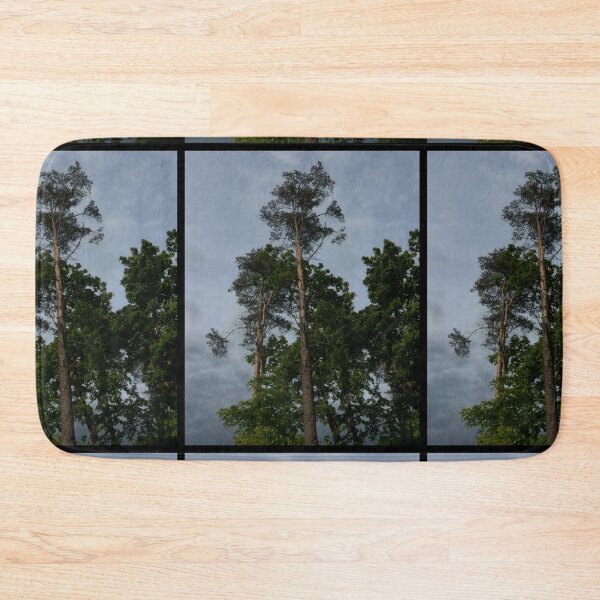Item preview, looking up at trees and a grey sky (edinburgh, scotland) (may 2026) designed and sold by photosbykel.