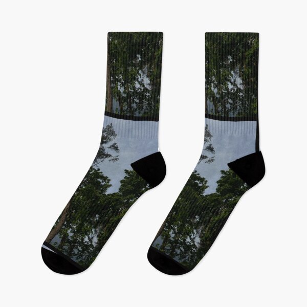 Item preview, looking up at trees and a grey sky (edinburgh, scotland) (may 2026) designed and sold by photosbykel.