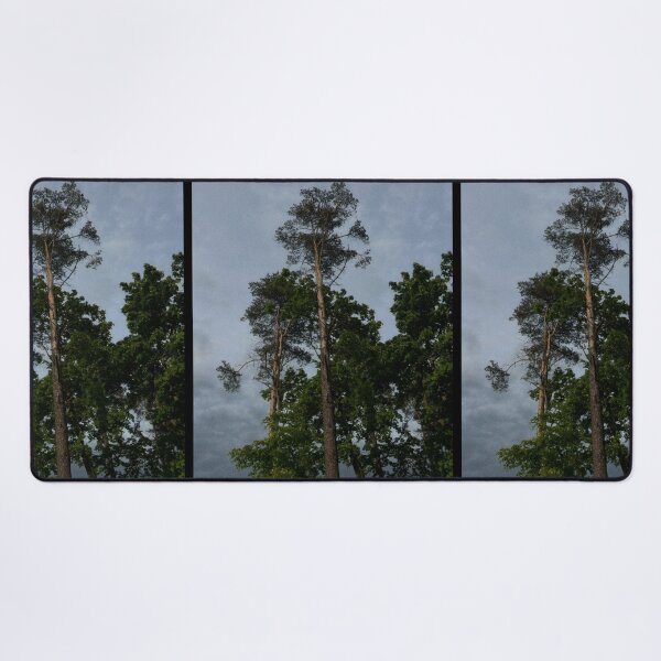 Item preview, looking up at trees and a grey sky (edinburgh, scotland) (may 2026) designed and sold by photosbykel.