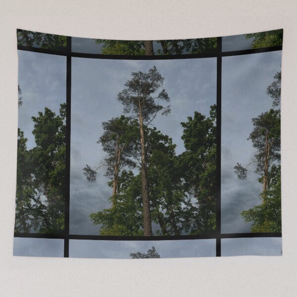 Item preview, looking up at trees and a grey sky (edinburgh, scotland) (may 2026) designed and sold by photosbykel.