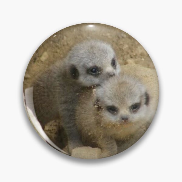 Item preview, Cute Meerkat Pups Playing in the Sand designed and sold by Astute-Artio-Photography.