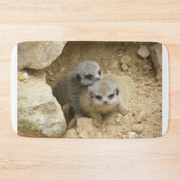 Item preview, Cute Meerkat Pups Playing in the Sand designed and sold by Astute-Artio-Photography.
