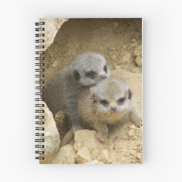Item preview, Cute Meerkat Pups Playing in the Sand designed and sold by Astute-Artio-Photography.