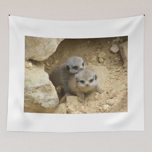 Item preview, Cute Meerkat Pups Playing in the Sand designed and sold by Astute-Artio-Photography.