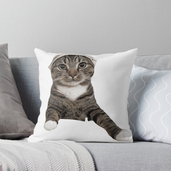 Item preview, Cute Tabby Cat Wearing Hat - Adorable Real Pet Photo Sticker designed and sold by OuSfian1.