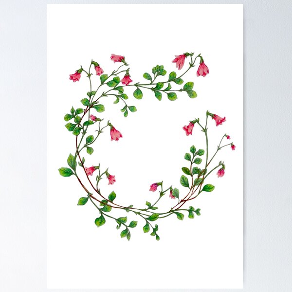 Item preview, Linnea Flowers designed and sold by orchiddesignco.