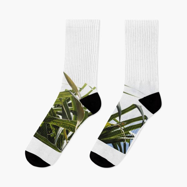 Item preview, Relaxed Greenery  designed and sold by Blancotography.