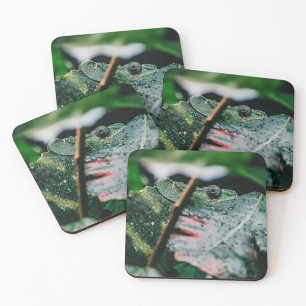 Item preview, Meller's Chameleon designed and sold by Flora+Fauna.