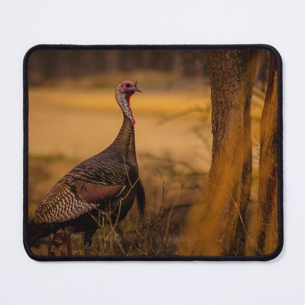 Item preview, Ya Turkey designed and sold by Flora+Fauna.
