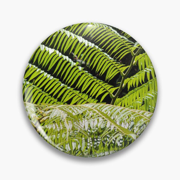 Item preview, Natural Blinds designed and sold by Blancotography.