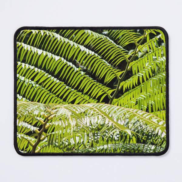 Item preview, Natural Blinds designed and sold by Blancotography.