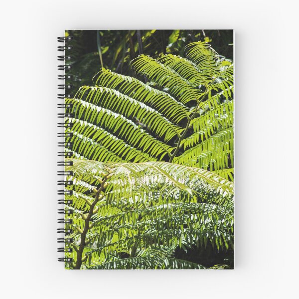Item preview, Natural Blinds designed and sold by Blancotography.