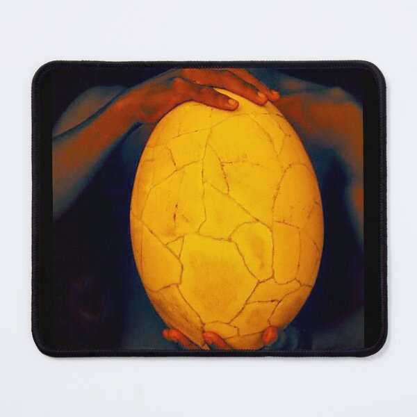 Item preview, Madagascar Elephant Bird Egg Photo Art designed and sold by DEC02.