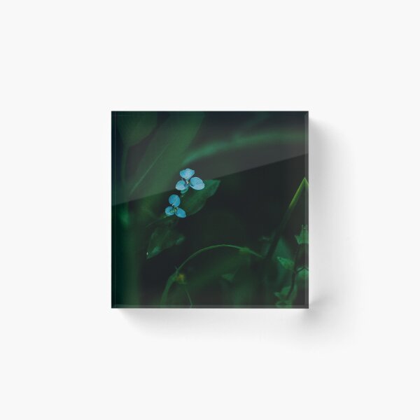 Item preview, Something Blue, Two designed and sold by Flora+Fauna.