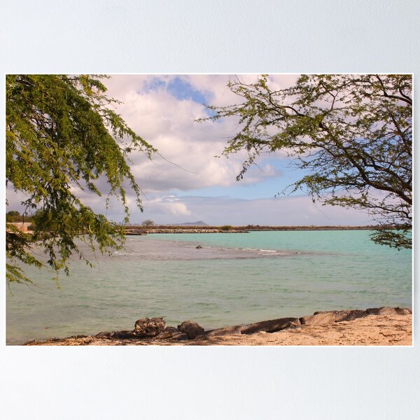 Item preview, Tropical Turquoise Ocean Lagoon with Overhanging Trees designed and sold by CayoSnapper.