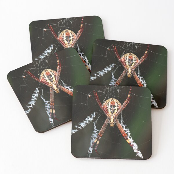 Item preview, Saint Andrews Cross Spider designed and sold by robdanimalphotography.