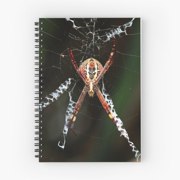 Item preview, Saint Andrews Cross Spider designed and sold by robdanimalphotography.