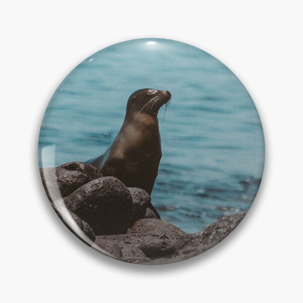 Item preview, Galapagos Sea Lion designed and sold by Flora+Fauna.