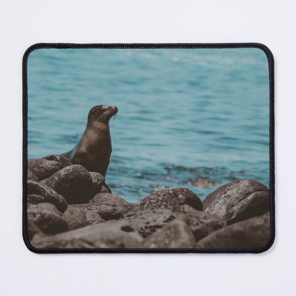 Item preview, Galapagos Sea Lion designed and sold by Flora+Fauna.