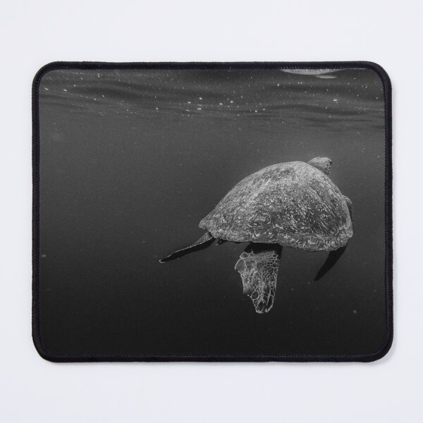 Item preview, Galapagos Green Turtle designed and sold by Flora+Fauna.