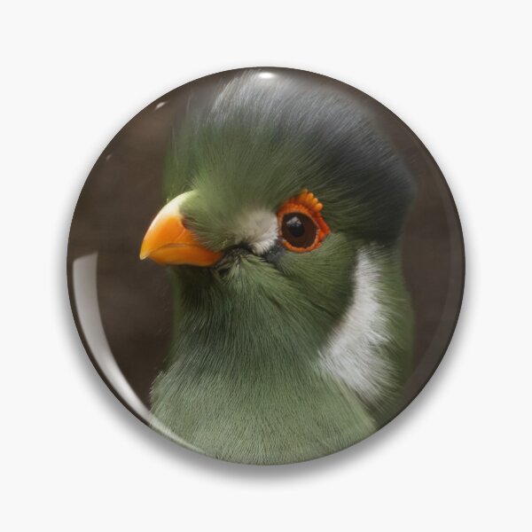 Item preview, White-cheeked Turaco designed and sold by Flora+Fauna.