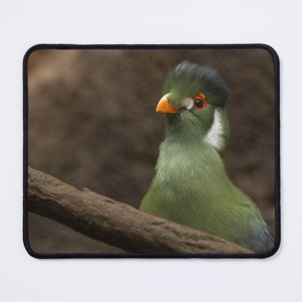 Item preview, White-cheeked Turaco designed and sold by Flora+Fauna.