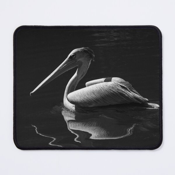 Item preview, Pink-backed Pelican designed and sold by Flora+Fauna.