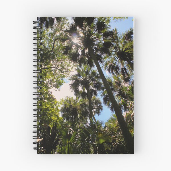 Item preview, Tropical Palm Canopy with Sunlight and Blue Sky designed and sold by CayoSnapper.