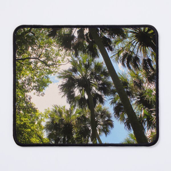 Item preview, Tropical Palm Canopy with Sunlight and Blue Sky designed and sold by CayoSnapper.