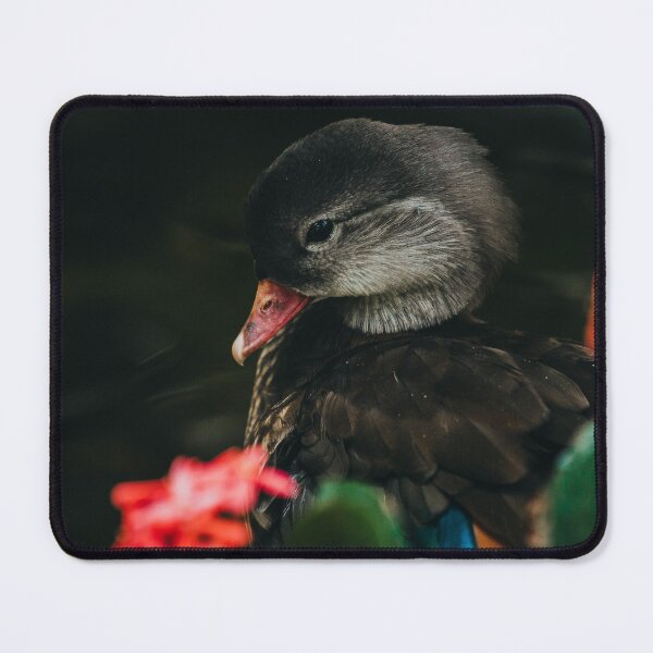 Item preview, Duckin' Around designed and sold by Flora+Fauna.