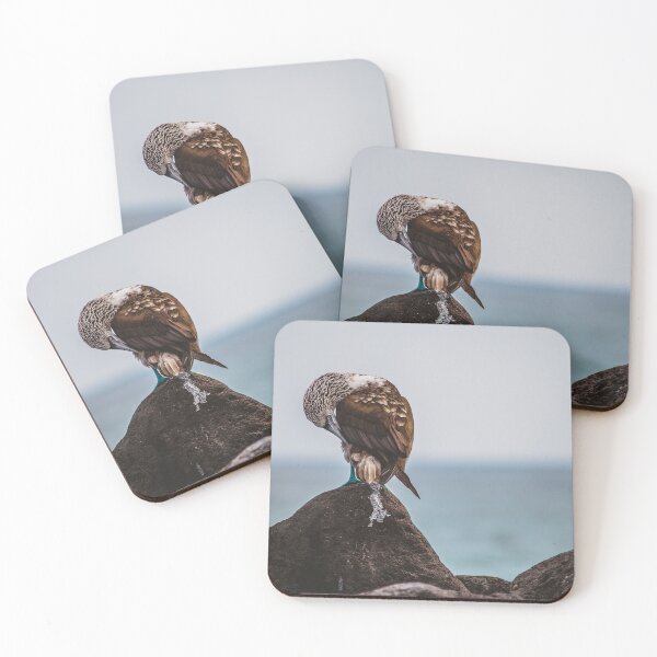 Item preview, Wasn't Me designed and sold by Flora+Fauna.