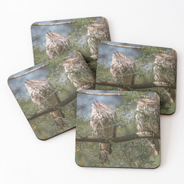 Item preview, Tawny Frogmouths designed and sold by robdanimalphotography.