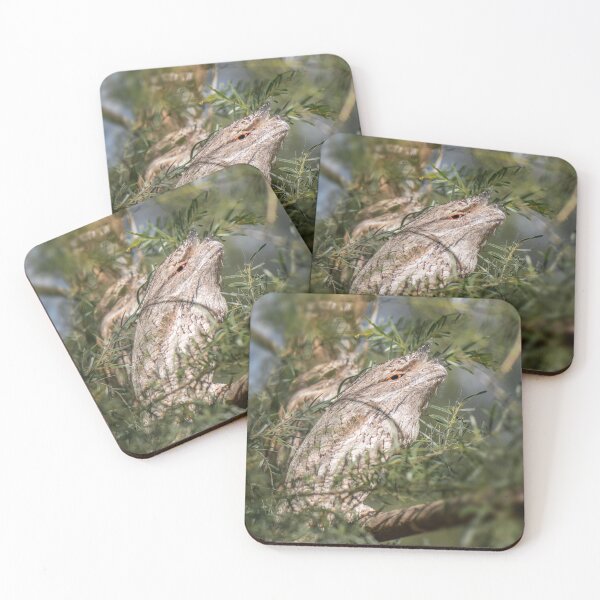 Item preview, Tawny Frogmouths designed and sold by robdwildlife.