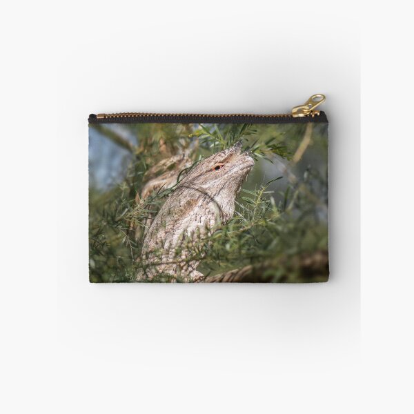 Item preview, Tawny Frogmouths designed and sold by robdanimalphotography.