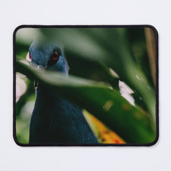 Item preview, Victoria Crowned Pigeon designed and sold by Flora+Fauna.