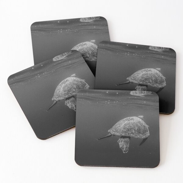 Item preview, Galapagos Green Sea Turtle designed and sold by Flora+Fauna.