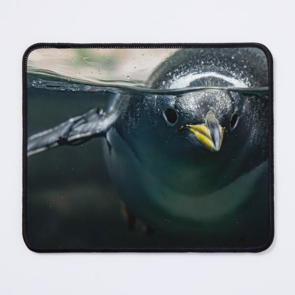 Item preview, Gentoo Penguin designed and sold by Flora+Fauna.