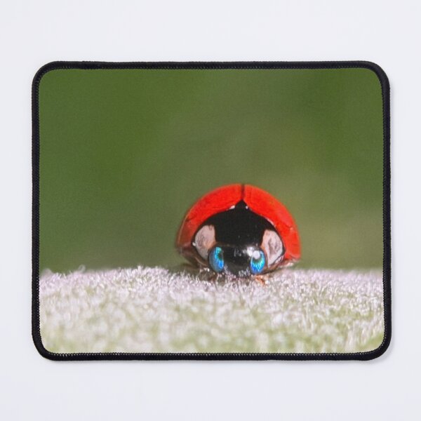 Item preview, Blue-eyed ladybug designed and sold by bealeiderman.