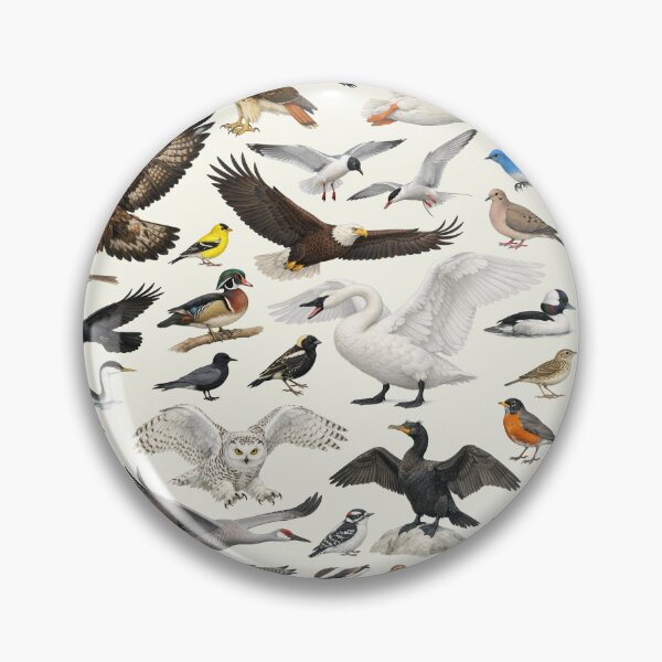 Item preview, Native Birds of North Dakota Retro Identification Chart designed and sold by kakarikihill.
