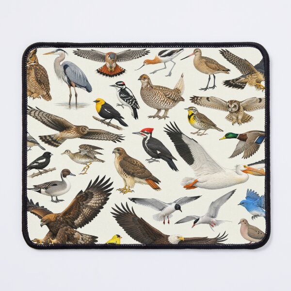Item preview, Native Birds of North Dakota Retro Identification Chart designed and sold by kakarikihill.