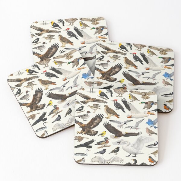 Item preview, Native Birds of North Dakota Retro Identification Chart designed and sold by kakarikihill.