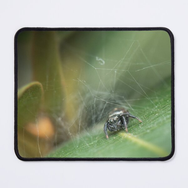 Item preview, Ant-eater Jumping Spider designed and sold by robdanimalphotography.