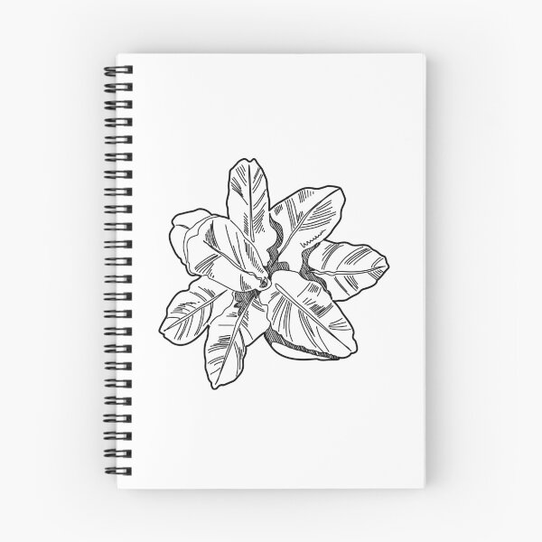 Item preview, Plant top view landscape plan symbol hand drawn broadleaf tropical foliage sketch for architectural site design designed and sold by zanaxxer.