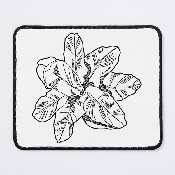 Item preview, Plant top view landscape plan symbol hand drawn broadleaf tropical foliage sketch for architectural site design designed and sold by zanaxxer.