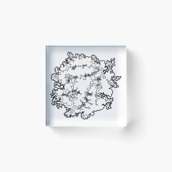 Item preview, Shrub top view landscape plan symbol hand drawn architectural bush and plant sketch for garden design blueprint designed and sold by zanaxxer.