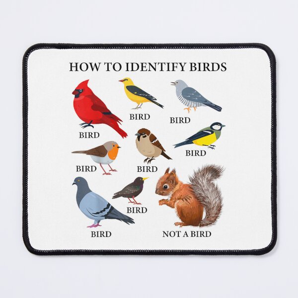 Item preview, Birding Identify designed and sold by goombi-creative.