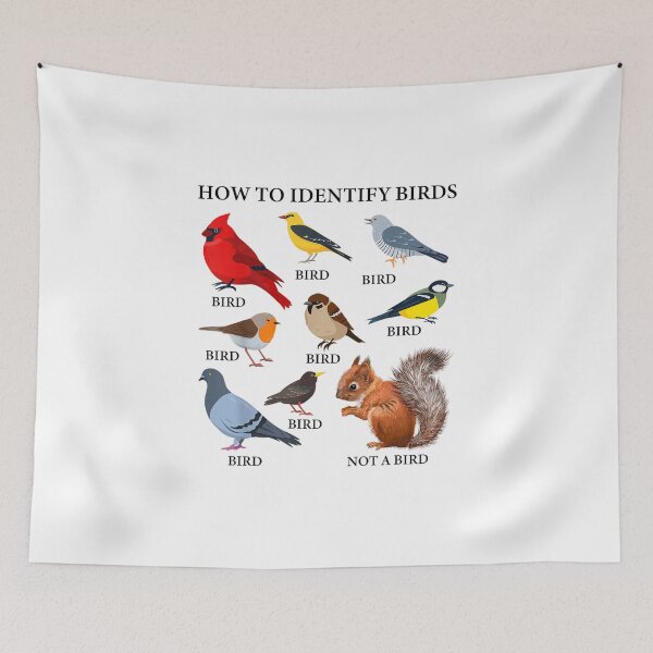 Item preview, Birding Identify designed and sold by goombi-creative.