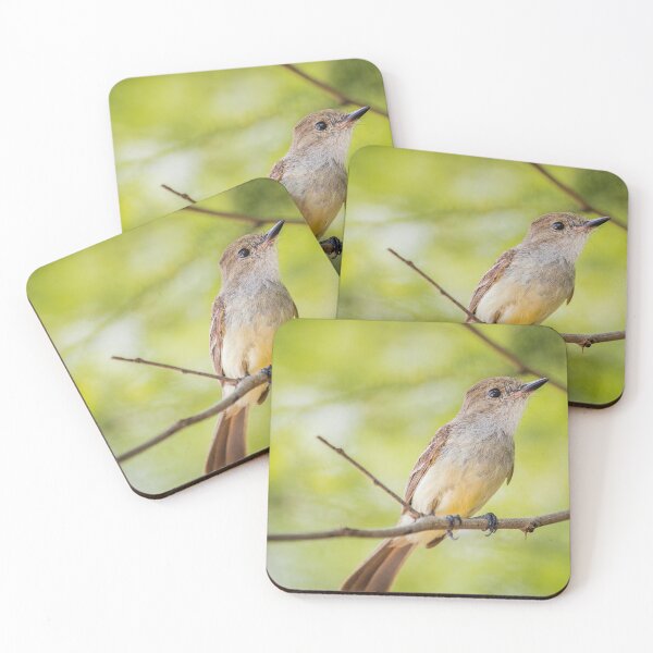 Item preview, Flycatcher  designed and sold by Flora+Fauna.