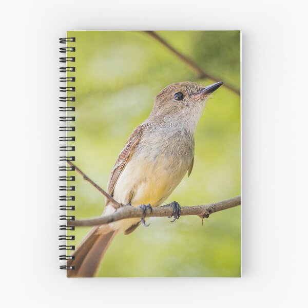 Item preview, Flycatcher  designed and sold by Flora+Fauna.